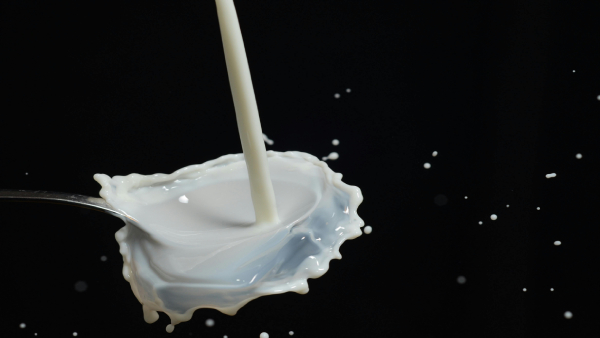 Karnataka Government Increases Milk Price by 4 Farmers to Benefit from Additional Earnings