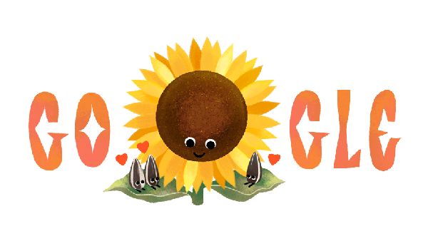 Google Doodle Celebrates Mother's Day 2025 With Sunflower And Heart