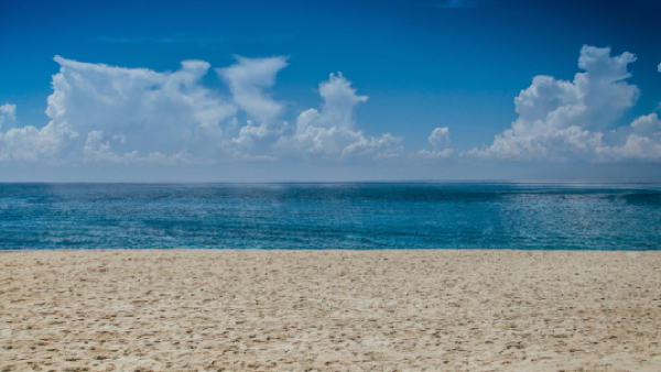 7 1-Magnitude Earthquake Jolts Tonga Triggers Tsunami Alert 7 1-Magnitude Earthquake Jolts Tonga Triggers Tsunami Alert