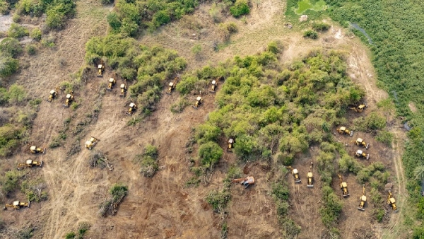 Hyderabad University Students Clash With Police Over Alleged Land Grab Accuse Govt Of Misleading Them Hyderabad University Students Clash With Police Over Alleged Land Grab Accuse Govt Of Misleading Them