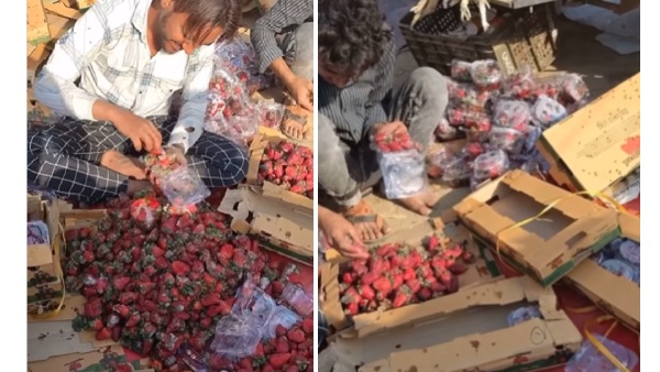 Viral Video Viral Video