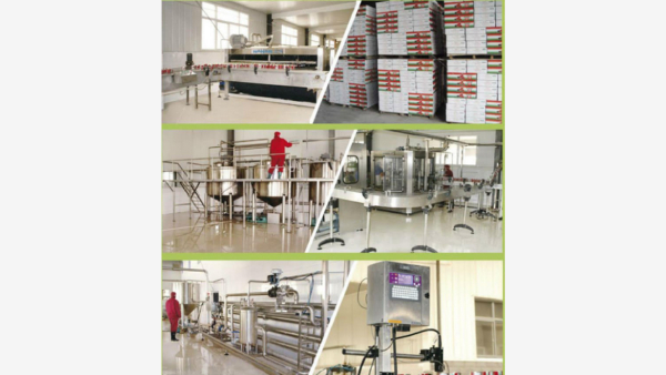 Hebei Tomato Industry Co Ltd A Global Leader in Premium Tomato Paste Production