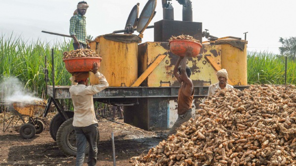 Telangana turmeric farmers take out rally in Metpally town for MSP
