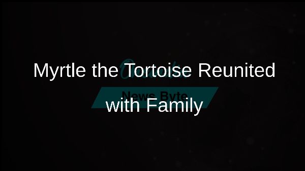 Myrtle the Tortoise Reunited with Family Myrtle the Tortoise Reunited with Family