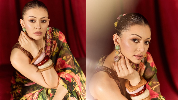 Hansika Motwani Moves Bombay HC To Quash Sister-in-Law s FIR Alleges It s Driven By Personal Vendetta