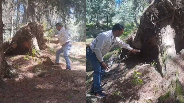 Pakistan s Dirty Games Exposed How Terrorists Are Exploiting Pir Panjal s Rugged Terrain Pakistan s Dirty Games Exposed How Terrorists Are Exploiting Pir Panjal s Rugged Terrain