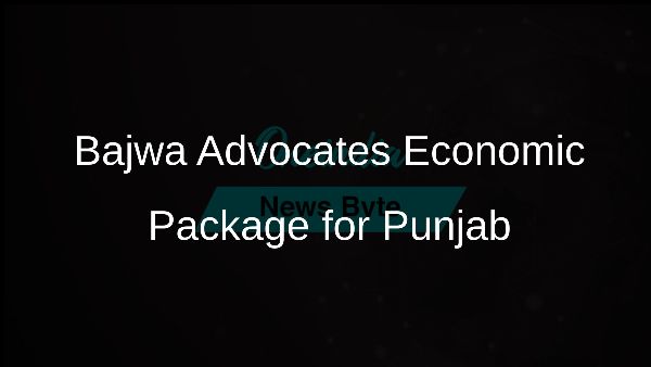 Bajwa Advocates Economic Package for Punjab