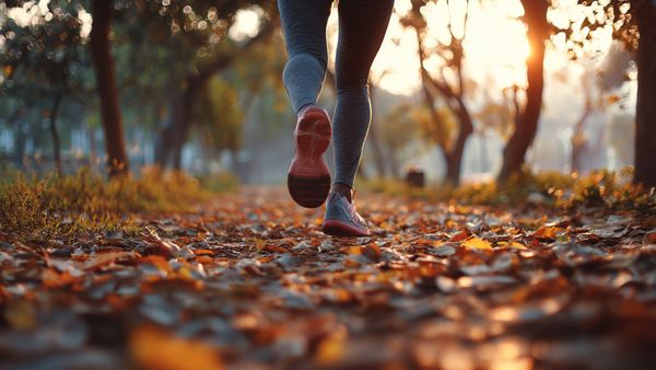 Adjust Your Gym Routine for Year-Round Fitness