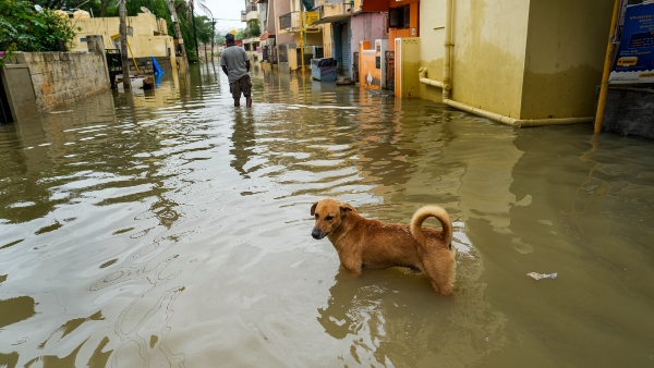 Karnataka Rains Is There a Holiday for Schools on Wednesday May 21 As IMD Issues Alert