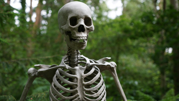 Representational image