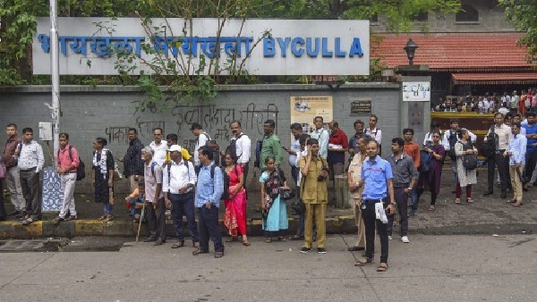 Mumbai BEST Buses News