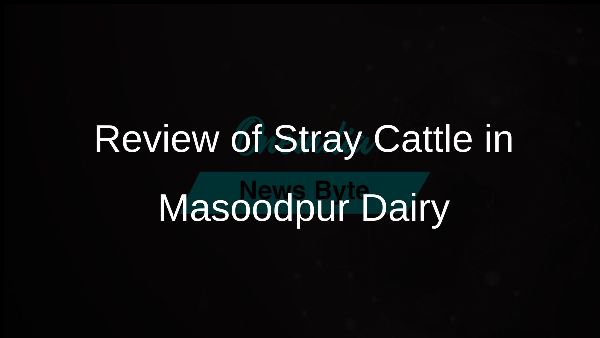 Review of Stray Cattle in Masoodpur Dairy Review of Stray Cattle in Masoodpur Dairy