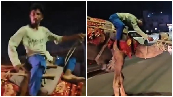 Hyderabad Drunk Man Rides Camel On Road