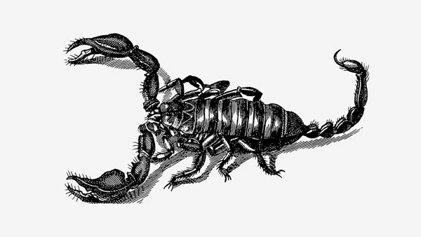 Scorpio (October 23 - November 21) Horoscope