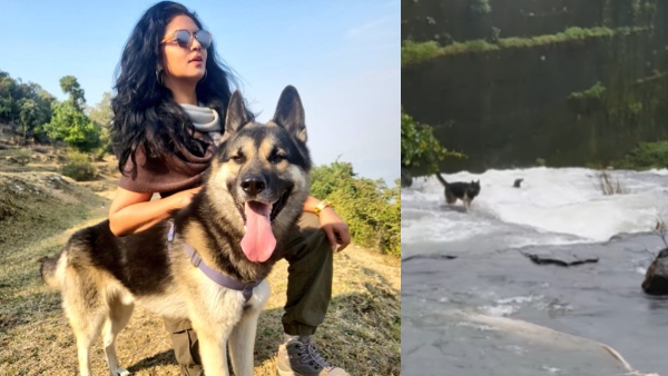 Kavita Kaushik Rescues Dog from Drowning