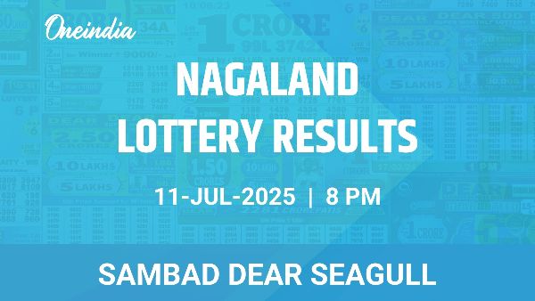Results of the Nagaland State Lottery Dear Seagull for July 11 at 8 PM Results of the Nagaland State Lottery Dear Seagull for July 11 at 8 PM