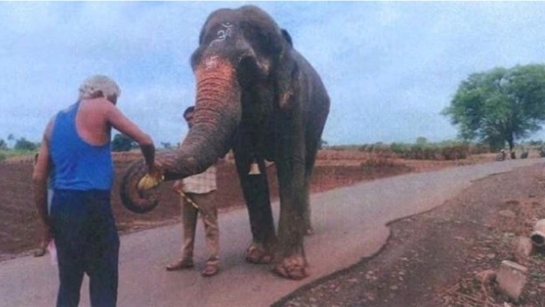 Bombay High Court Clears Elephant Mahadevi s Transfer to Gujarat Sanctuary Backed by Anant Ambani