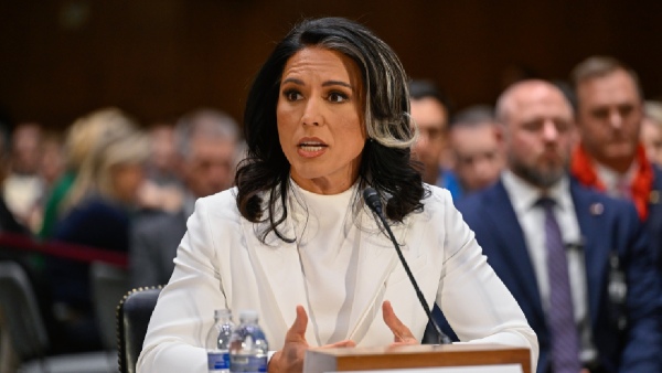 Hottest in the Room Trump Lauds Tulsi Gabbard Repeats Debunked 2016 Election Claims Hottest in the Room Trump Lauds Tulsi Gabbard Repeats Debunked 2016 Election Claims