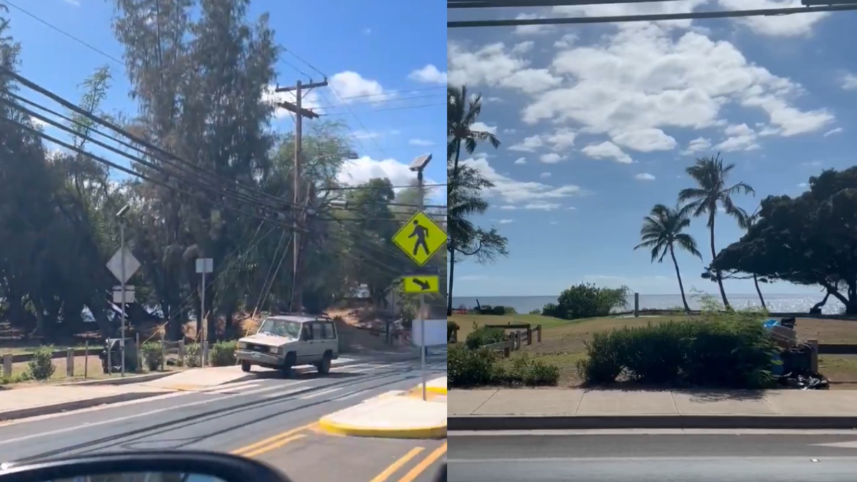 Hi google tsunami