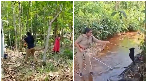 Thiruvananthapuram Video of Thiruvananthapuram s Forest Officer Roshini s Fearless Cobra Rescue Goes Viral