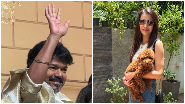 Did Vijay Really Click This Trisha Krishnan s New Pic Adding Fuel To Dating Rumours