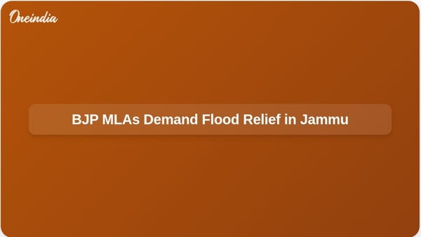 BJP MLAs Demand Flood Relief in Jammu