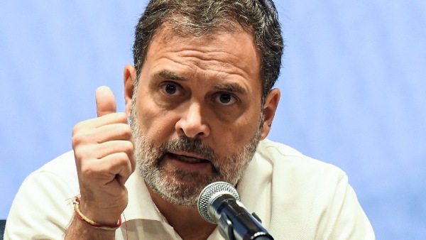 Cruel And Short-Sighted Rahul Gandhi Slam Supreme Court s Stray Dog Removal Order