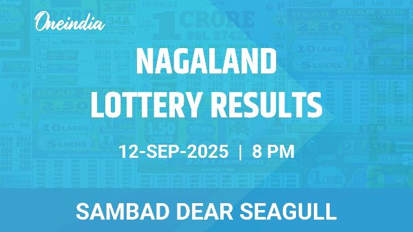 Results of the Nagaland State Lottery Dear Seagull for September 12 at 8 PM