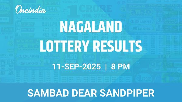 Results of the Nagaland State Lottery Dear Sandpiper for September 11 at 8 PM