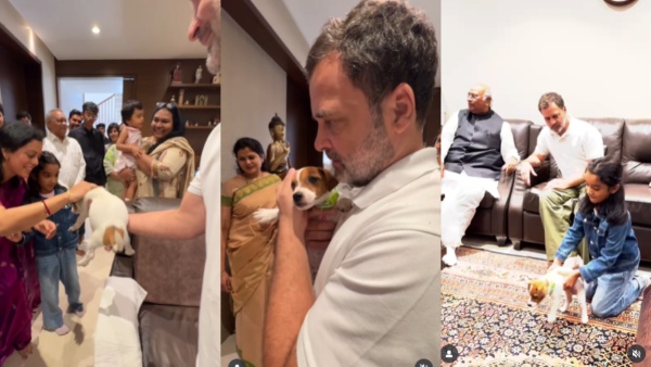 Rahul Gandhi Gifts A Puppy To Mallikarjun Kharge s Granddaughter