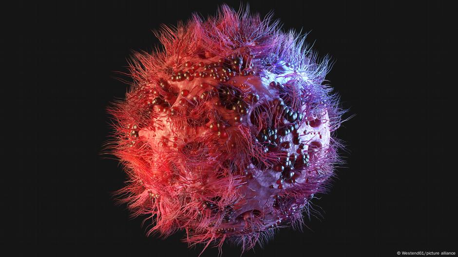 HIV was officially discovered in 1983 by researchers in Paris but the first cases had been detected two years earlier in the US