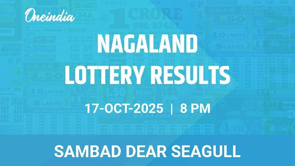 Results of the Nagaland State Lottery Dear Seagull for October 17 at 8 PM Results of the Nagaland State Lottery Dear Seagull for October 17 at 8 PM