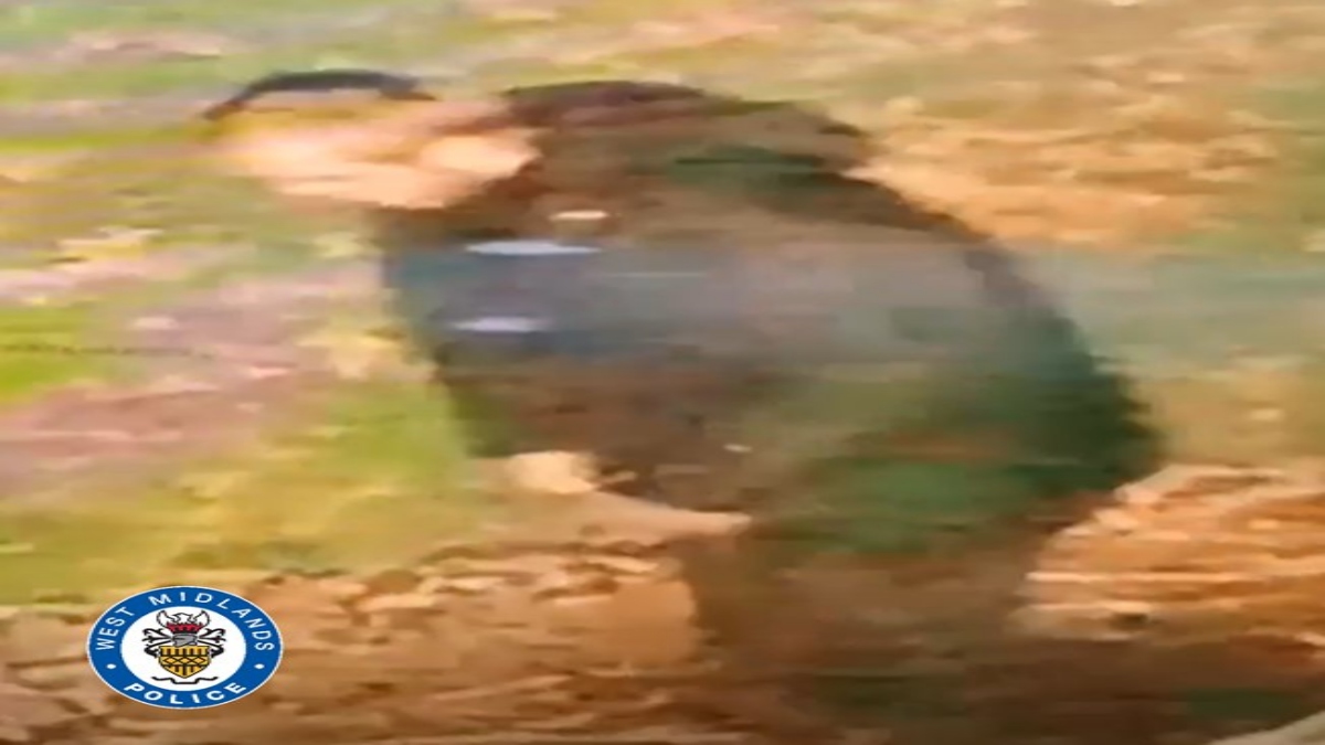 UK Police Issues Urgent Appeal After Woman s Racially Aggravated Rape UK Police Issues Urgent Appeal After Woman s Racially Aggravated Rape