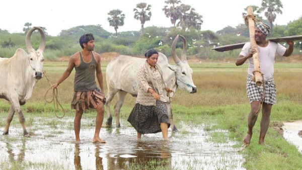 Bison OTT Release Date Is It Really Releasing On Nov 14 Find Out