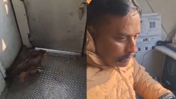 Eagle Hit Train Pilot Eagle Hit Train Pilot