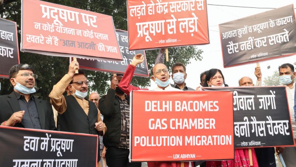 Delhi Residents Rush to Buy Air-Purifying Plants as Pollution Levels Hit Hazardous Mark