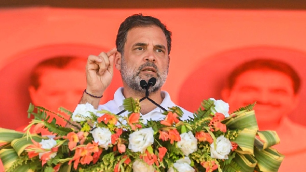 Rahul Gandhi Alleges Nationwide Chaos During Special Intensive Revision 16 BLOs Dead Rahul Gandhi Alleges Nationwide Chaos During Special Intensive Revision 16 BLOs Dead