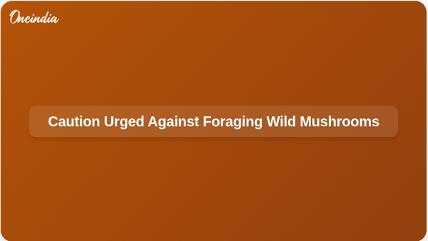 Caution Urged Against Foraging Wild Mushrooms
