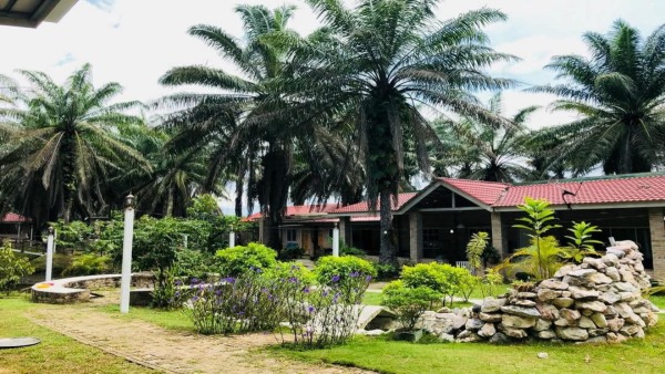 Burnt Out at 25 Malaysia s Gen Z Retirement Home Strikes a Chord with India s Exhausted Youth