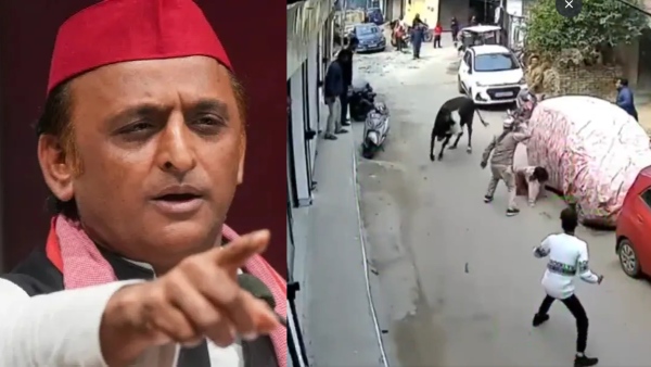 Akhilesh Yadav on Lucknow Cow Attack