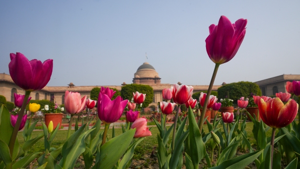 Amrit Udyan Amrit Udyan