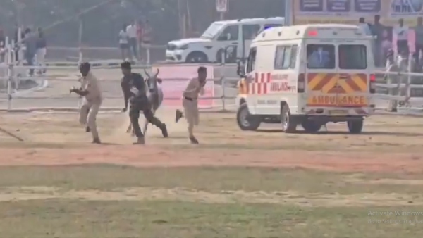 Stray Bull Enter Helipad In Bihar Stray Bull Enter Helipad In Bihar