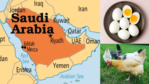 Regional Food Supply Chains