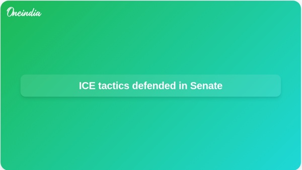 ICE tactics defended in Senate ICE tactics defended in Senate