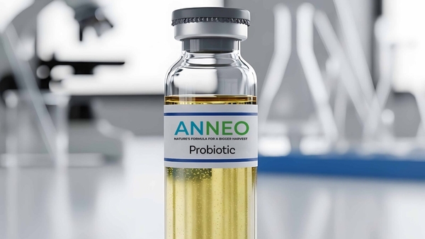 Anneo Biotech India s Quiet Revolution in Preventive Health