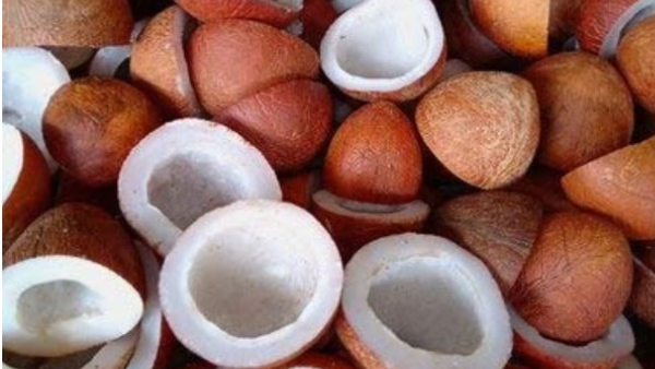 Copra Price Kobbari Rate Surges To All-Time High Nears Rs 40 000 Mark n Tiptur APMC