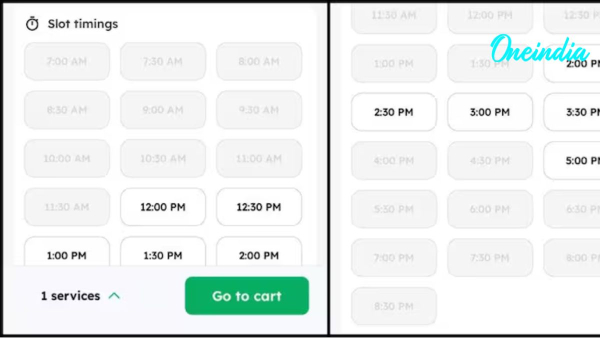 maid crisis in Delhi NCR