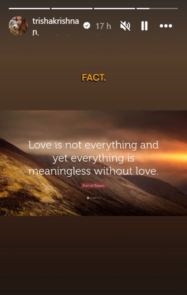 Trisha Says Everything Is Meaningless Without Love Amid Affair Rumours With Thalapathy Vijay Trisha Says Everything Is Meaningless Without Love Amid Affair Rumours With Thalapathy Vijay