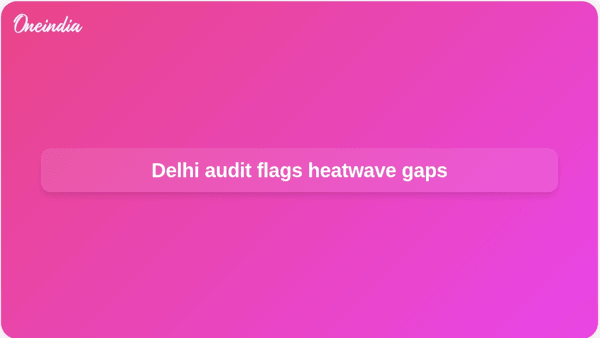 Delhi audit flags heatwave gaps