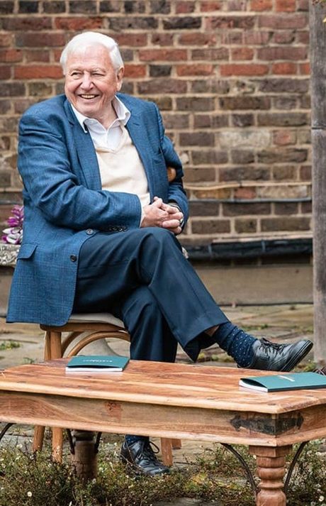 Sir David Attenborough seated smiling Sir David Attenborough seated smiling